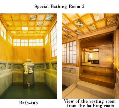 Special Bathing Room 2
